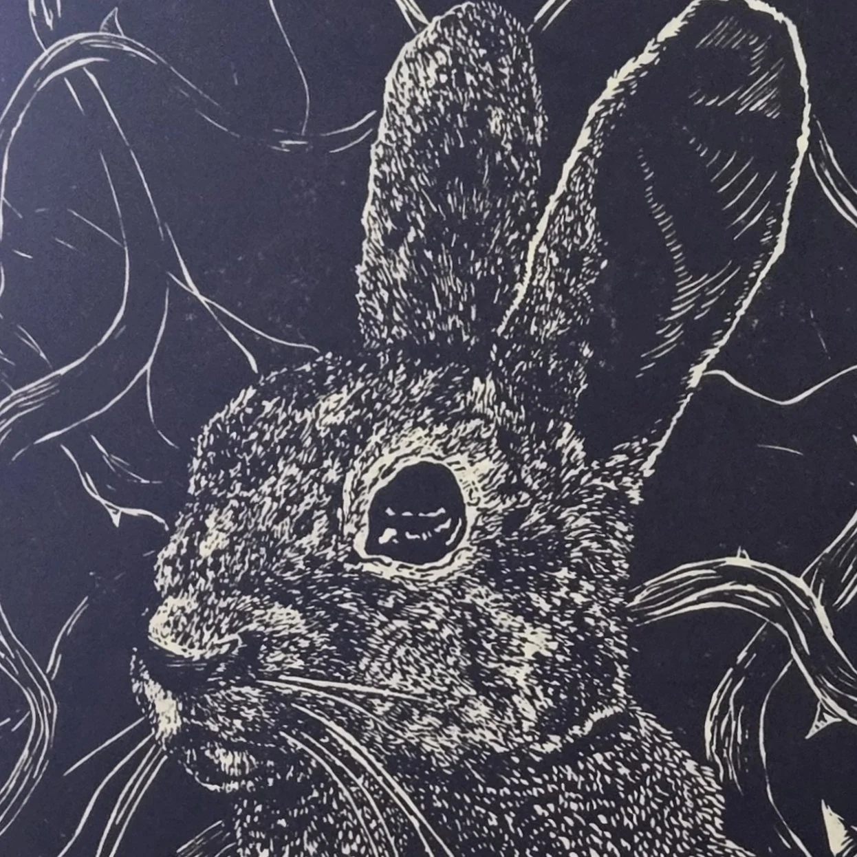Big Bunny